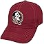 Florida State Icon