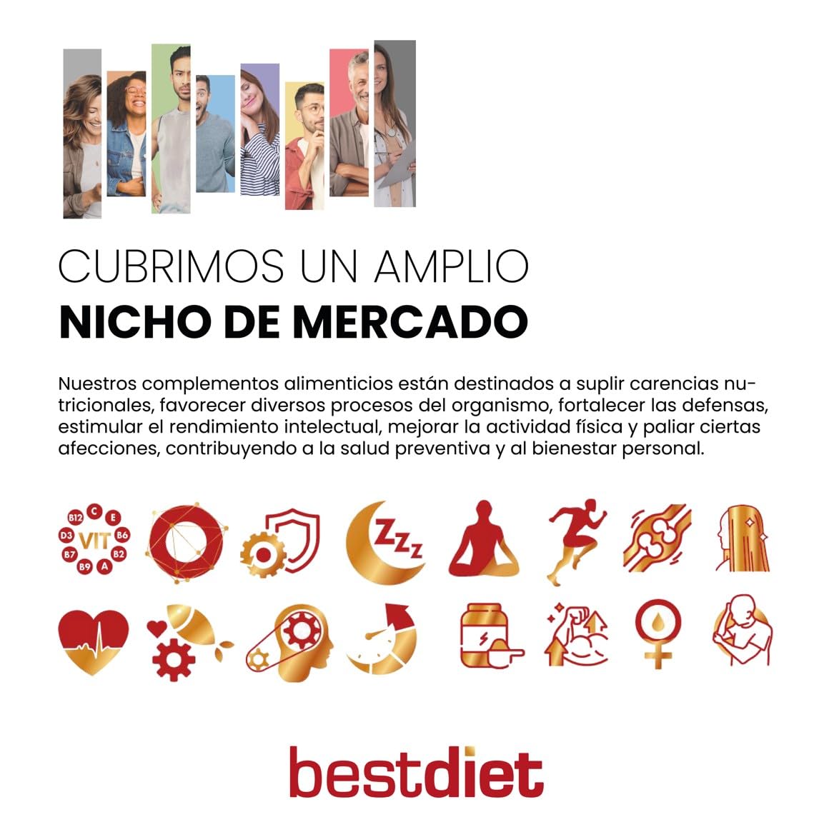 Keto Protein Bestdiet - Pain Protéiné Céto, sans sucre | Riche en fibres et en protéines | Pain aux graines | Peut être congelé | Lot de 3 pains de 500 g