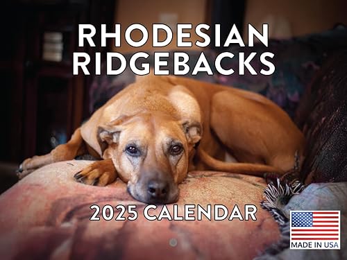 Vista 327 de Calendario Goldendoodle 2026 Golden Doodle mensual de pared calendario de 12 meses Fabricado en Estados Unidos