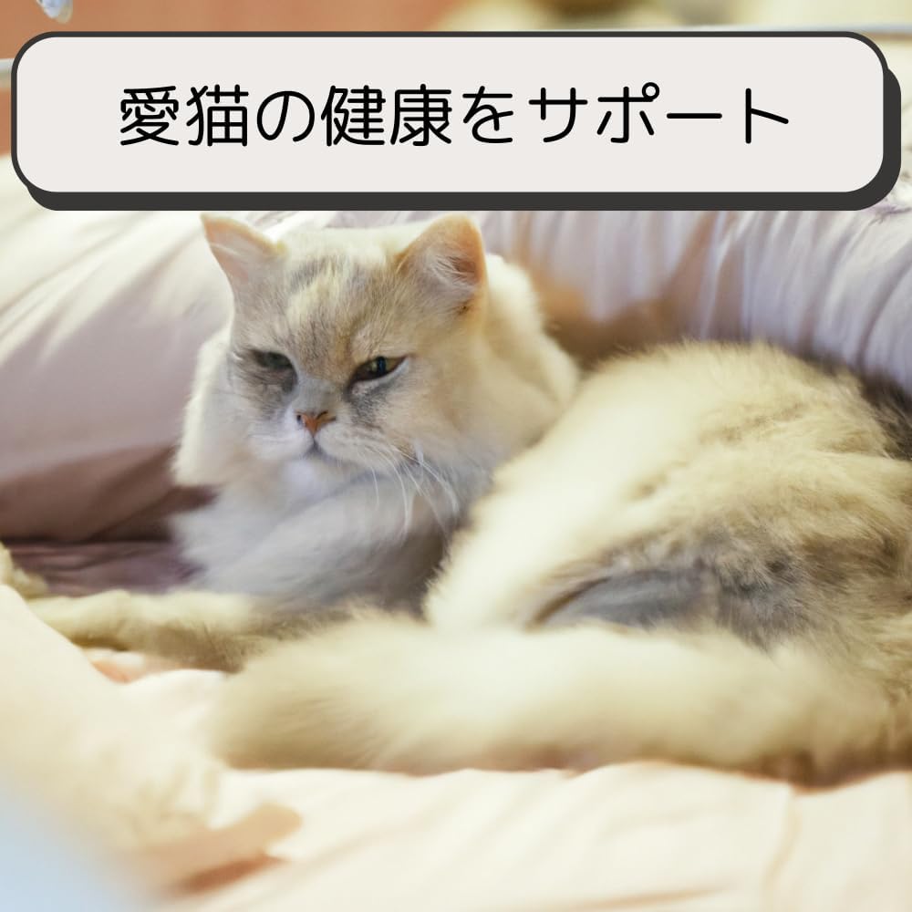 ロイヤルカナン 猫 キャットフード ユリナリー S/O オルファクトリー