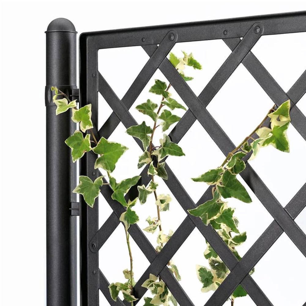 Fioriera Antracite con vaso rettangolare cm 100x43 o vaso quadrato 43x43 e Spalliera Grigliata separe' alta cm 195 graticola rampicante per piante e fiori (Fioriera quadrata 43x43 cm)