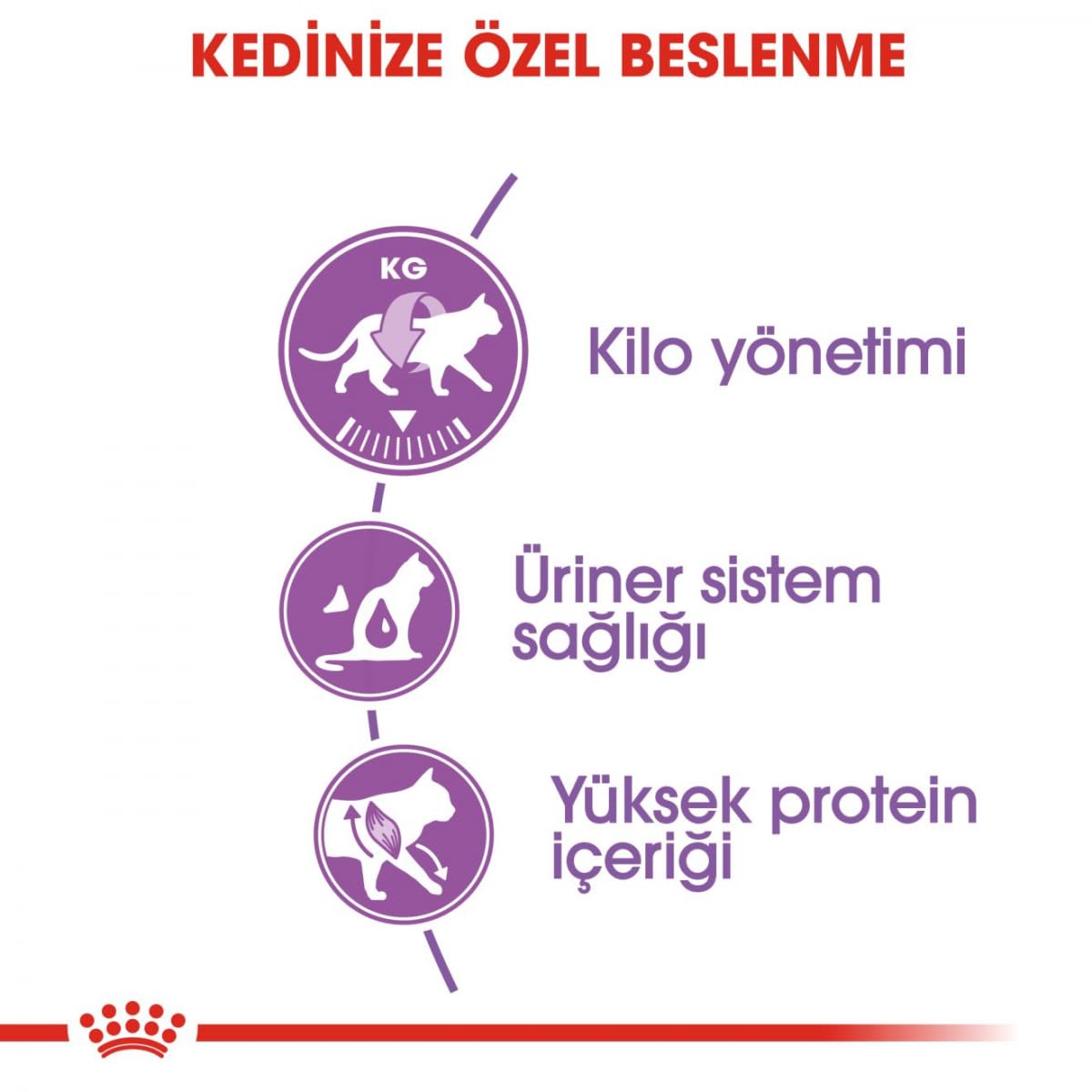 Royal Canin Alimento para Gatos Sterilised 37-2 kg