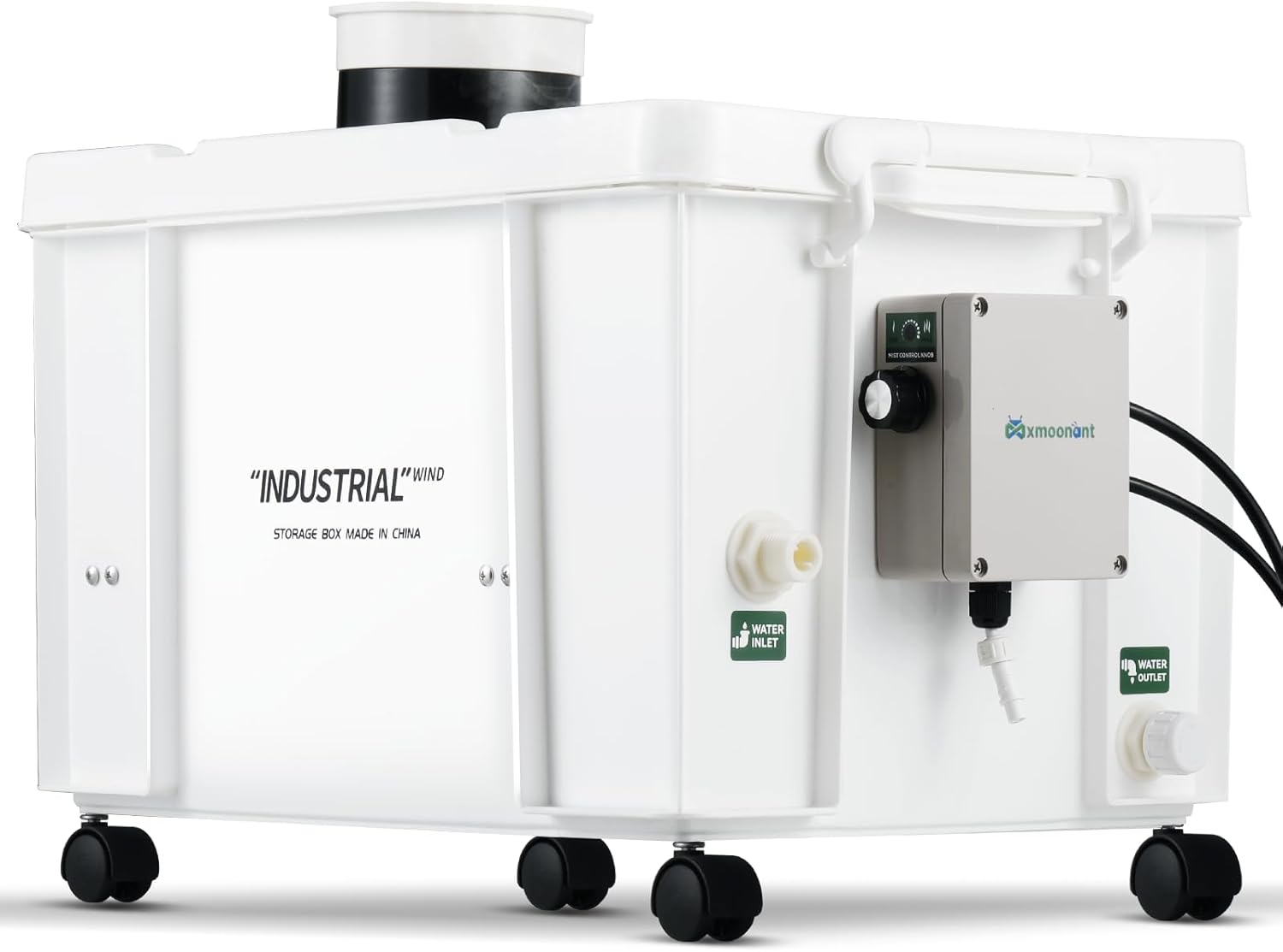 Brandis Has Everything You Are Looking For!