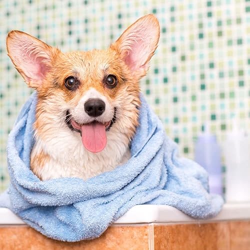 Miniatura 9 de Wellness CORE Brainiac - Golosinas de entrenamiento suaves para cachorros, pavo de ternera, 2 unidades (5 onzas), juguete de cuerda y folleto de