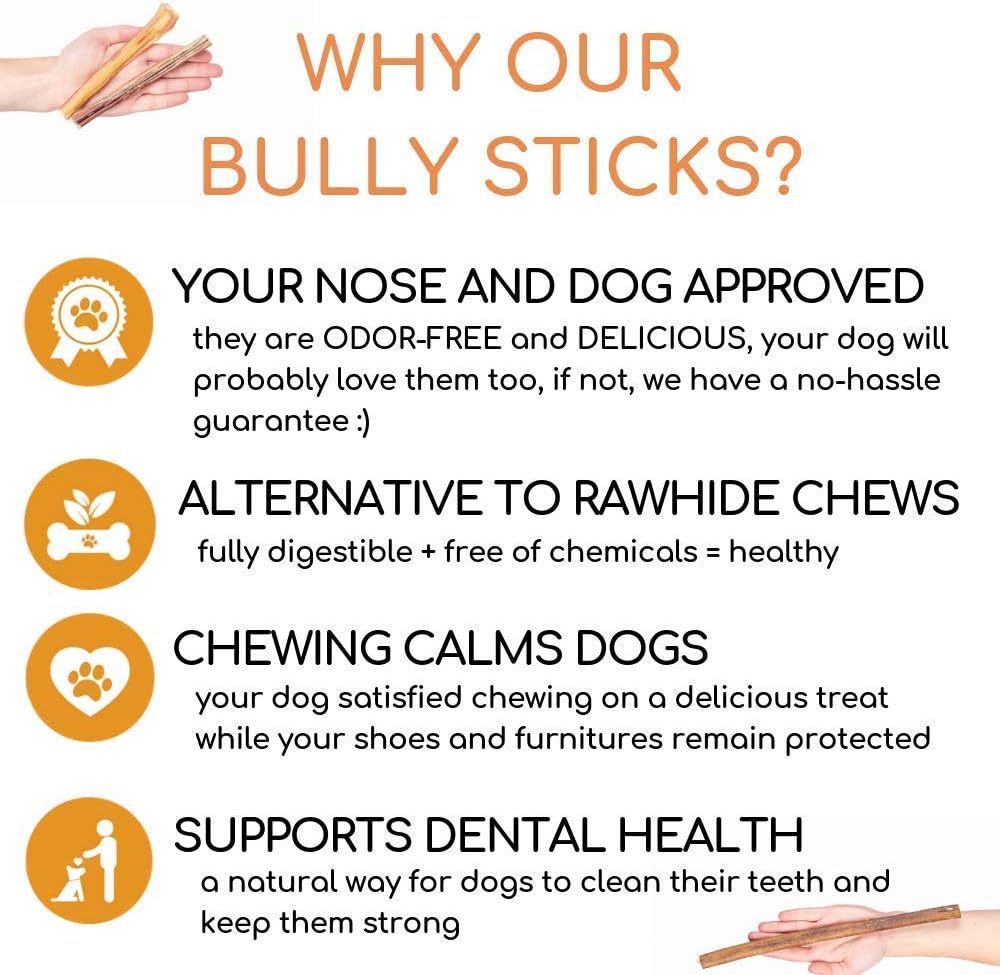 Best For My Pets 12‑Inch Odor‑Free 100% Beef Bully Sticks, 8 oz Bag – Long‑Lasting Single‑Ingredient Dental Dog Chews for Medium & Large Breeds, USA‑Inspected Rawhide Alternative