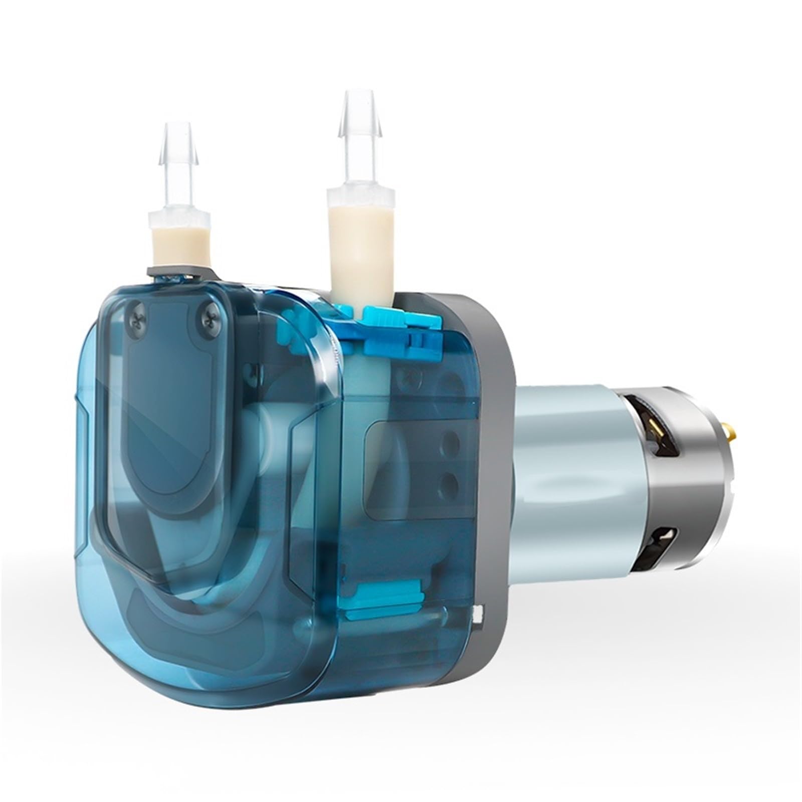 Pompe for liquami/effluenti Pompa peristaltica da 2000 ml/min Motore 12V 24V DC Dosaggio ad alto flusso(BP2000-D24S79HA)