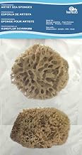 Éponge de mer méditerranéenne naturelle en nid d'abeille, lot de 2, face plate, 9–13 cm – réutilisable & durable, idéale pour patine murale, texture, marbrure & décoration