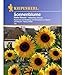 Produktbild Nebelung Sonnenblume 'Hohe Riesen',1 Portion