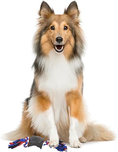 Miniatura 7 de Crazy Tails Juguetes masticables para cachorros para perros pequeños juego de juguetes para perros pequeños cuerda de algodón hueso de búfalo de 3