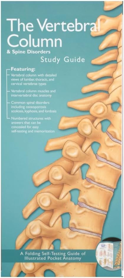 The Vertebral Column & Spine Disorders