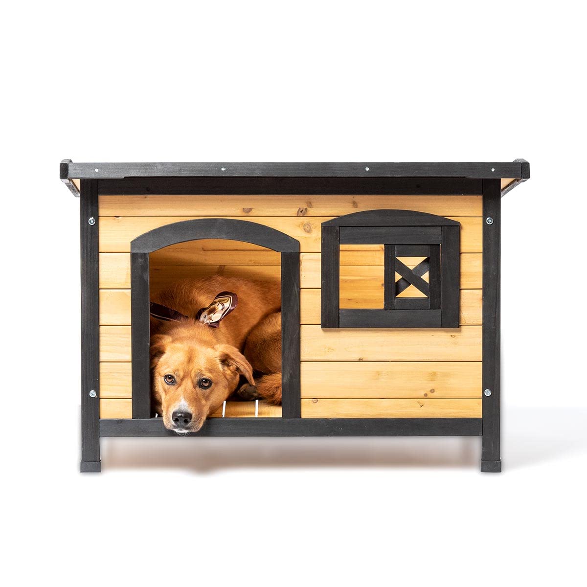 ATAA Caseta de Madera Eco-Responsable para Perros Toby - Negro-Refugio de Madera para Perros, Ideal para el Exterior, jardín y Patio con Ventanas y Techo Amovible