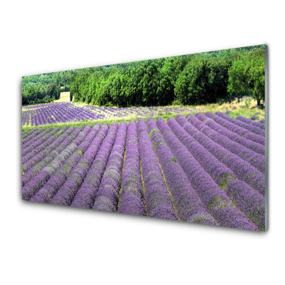 Tableau moderne impression sur verre trempé 100x50cm Tulup pour décoration murale nature