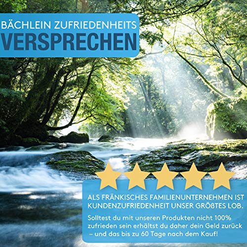 Bächlein Universal Geräteventil selbstdichtend, Maschinen-Anschlussventil mit Rückflussverhinderer, Geräteschrägsitzventil - Image 7