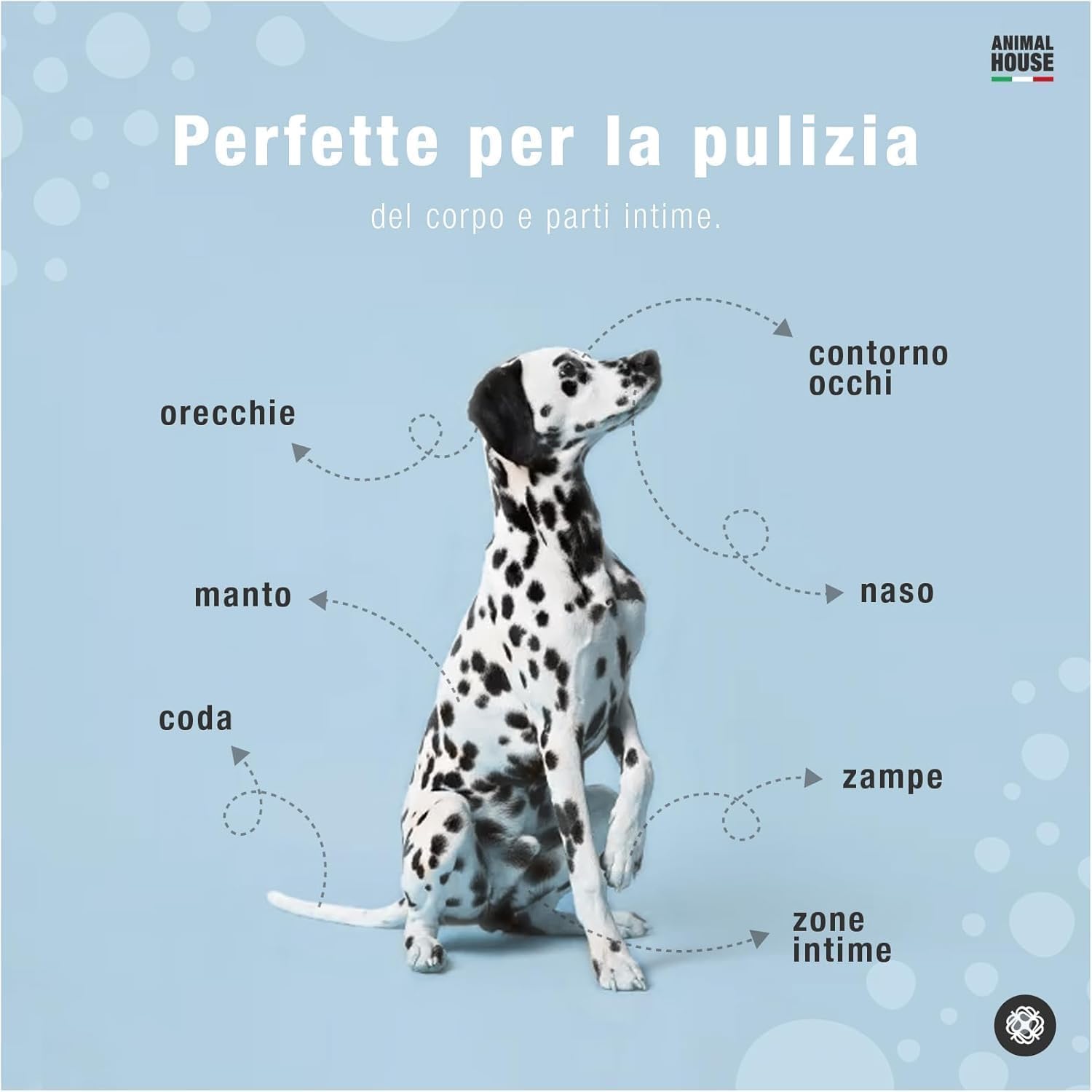 Animal House Salviette Profumate 350 PZ: Salviette Umidificate Ipoallergeniche e Biodegradabili per la Pulizia Quotidiana di Cani e Gatti (350, Aloe E CLOREXIDINA)