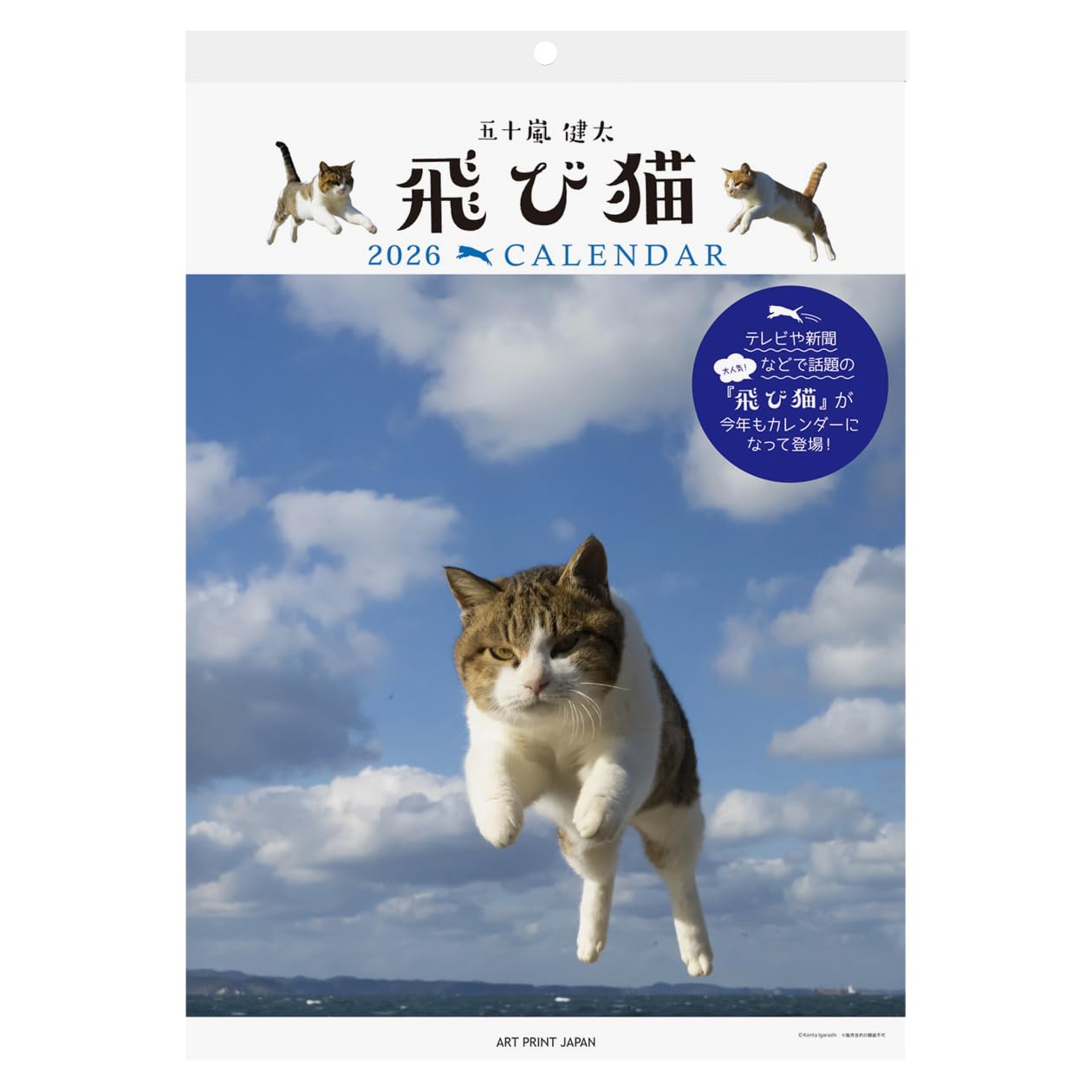 Amazon | 2026年カレンダー 飛び猫 | カレンダー | 文房具・オフィス用品