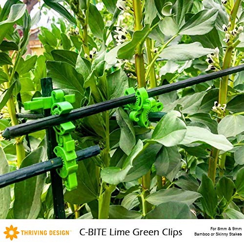 C-Bite Garden Clips Customizable, Reusable, And Strong Connections To Metal Or Bamboo Stakes. Create Custom Support Solutions Clips Build Sturdy Tomato Cages, Climbing Vine Trellis (Lime) #TOP6