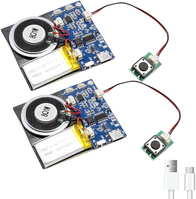 Module - 16MB Push Button Activated Sound Module with Speaker, Type-C Cable, and Easy Recording Capability16 Minutes for Personalized Greetings, DIY Projects, and Holiday Crafts (Blue-2Pack)