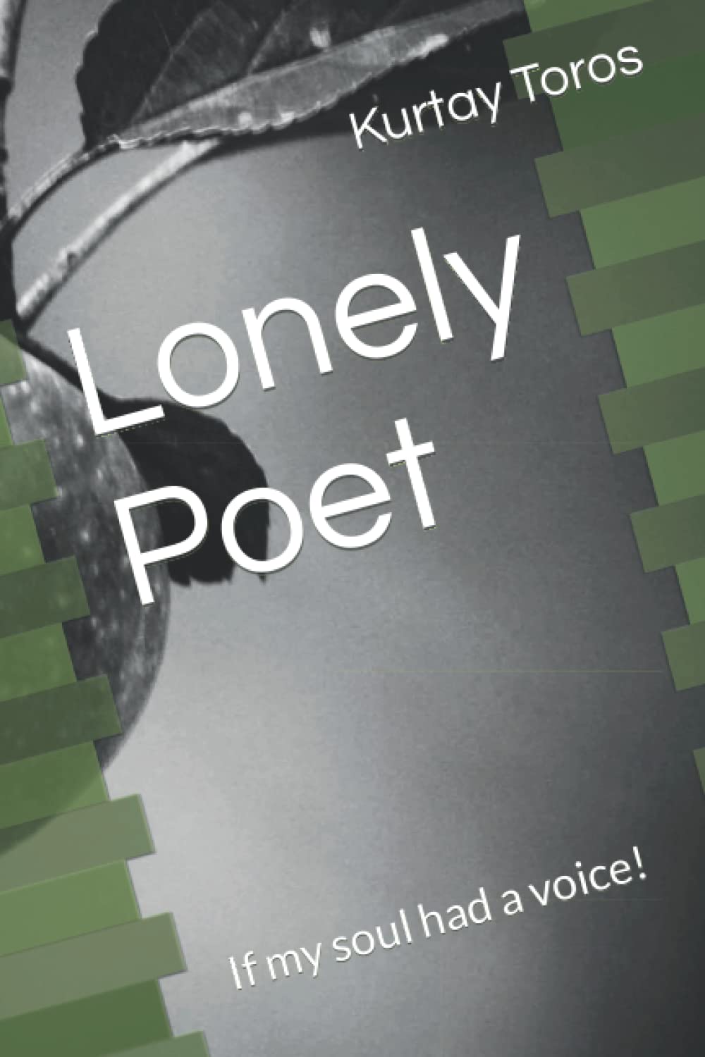 Lonely Poet: If my soul had a voice!