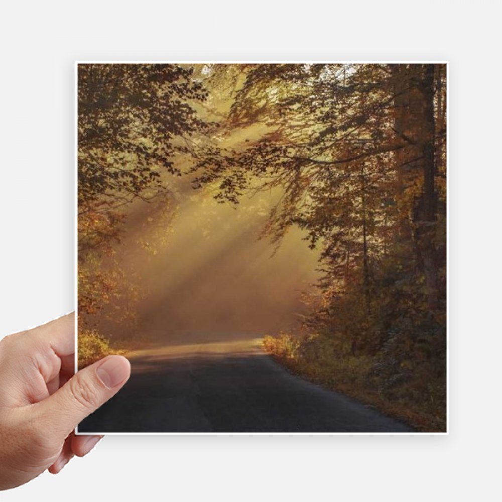 Autocollant carré forestier 20CM DIYthinker grand sticker paysage automne pour valise