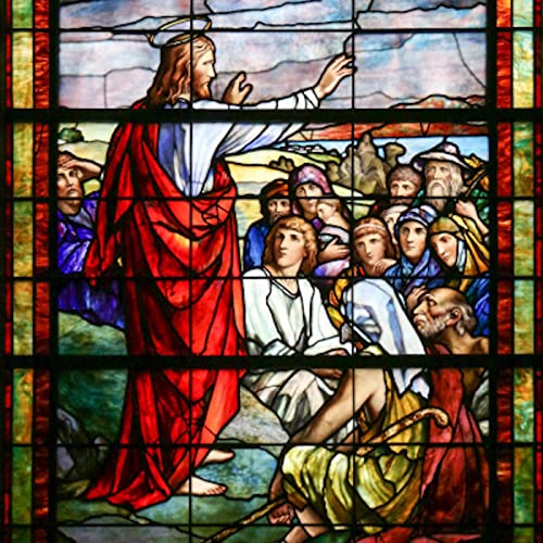 Tuesday of the Tenth Week in Ordinary Time - Radiating the True Light of Heaven