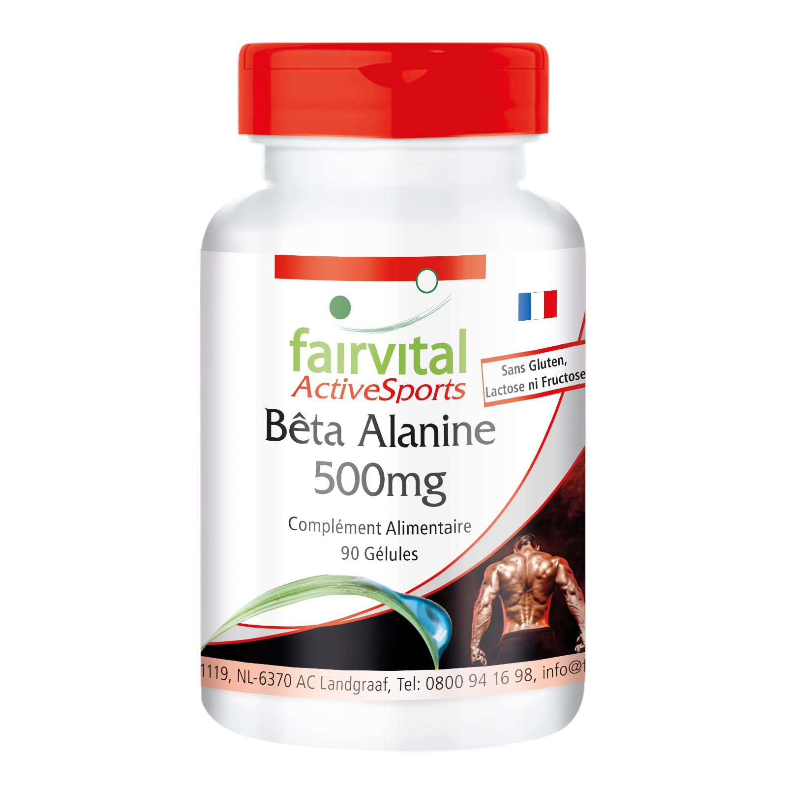 fairvital Bêta-alanine 500mg, 90 gélules, faciles à avaler, acide aminé très apprécié, sans poudre à mélanger, 100% végétalien, qualité contrôlée et hautement dosé, fabriqué en Allemagne
