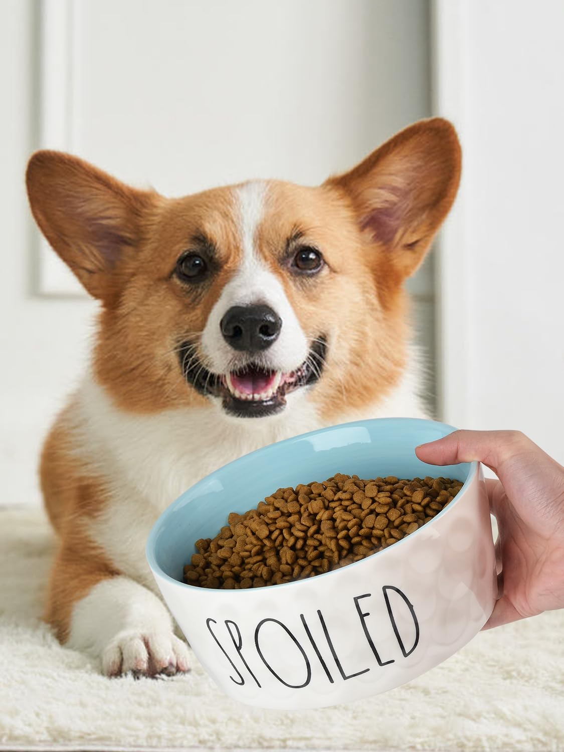 WoofinPets 70OZ Ceramic Dog Bowl - 8'' Extra Large Food Water, Heavy Duty Non-Slip Dog Dish for Medium and Large Dogs, Food Grade Porcelain Pet Feeder Bowl, Microwave & Dishwasher Safe, Pink: 6 inch Blue