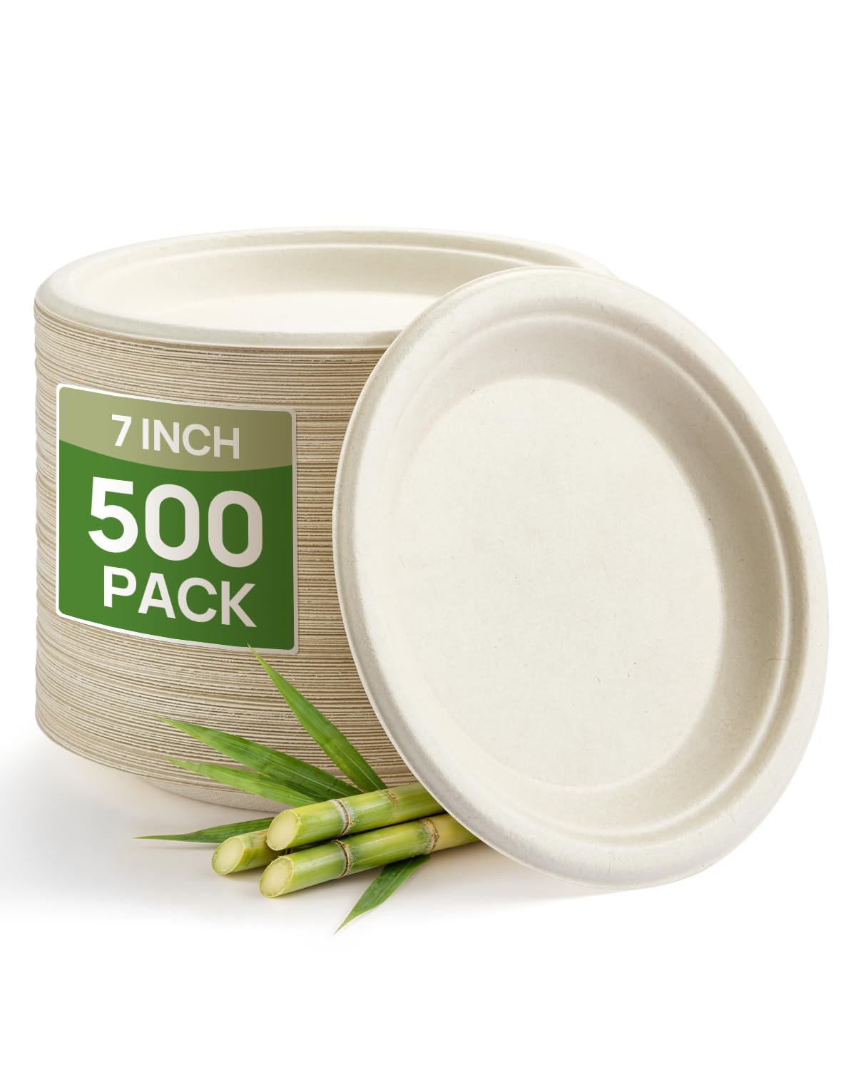 Compostable Sugarcane Plates - 500 Pack -10