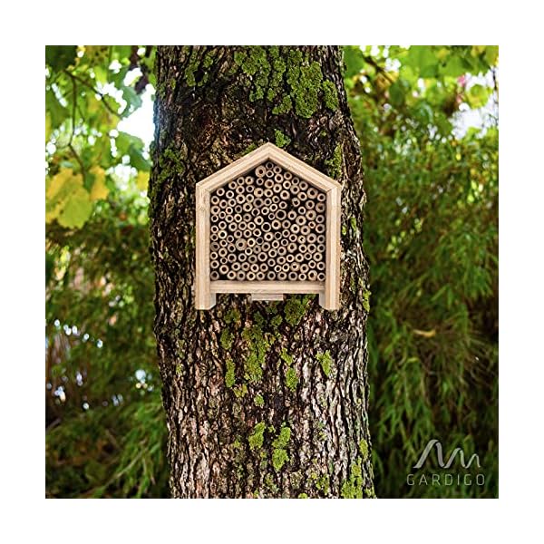 GARDIGO® Tierhaus System: Bienenhaus I Bienenhotel aus Massivholz I Made in Germany I Wildbienen Nisthilfe I… – Bild 6