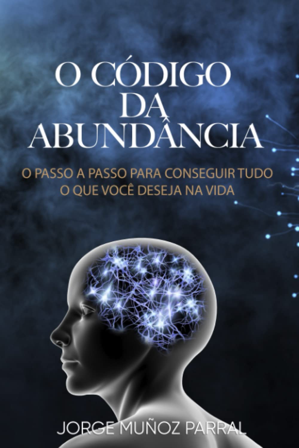 O CÓDIGO DA ABUNDÂNCIA: O passo a passo para conseguir tudo o que você deseja na vida