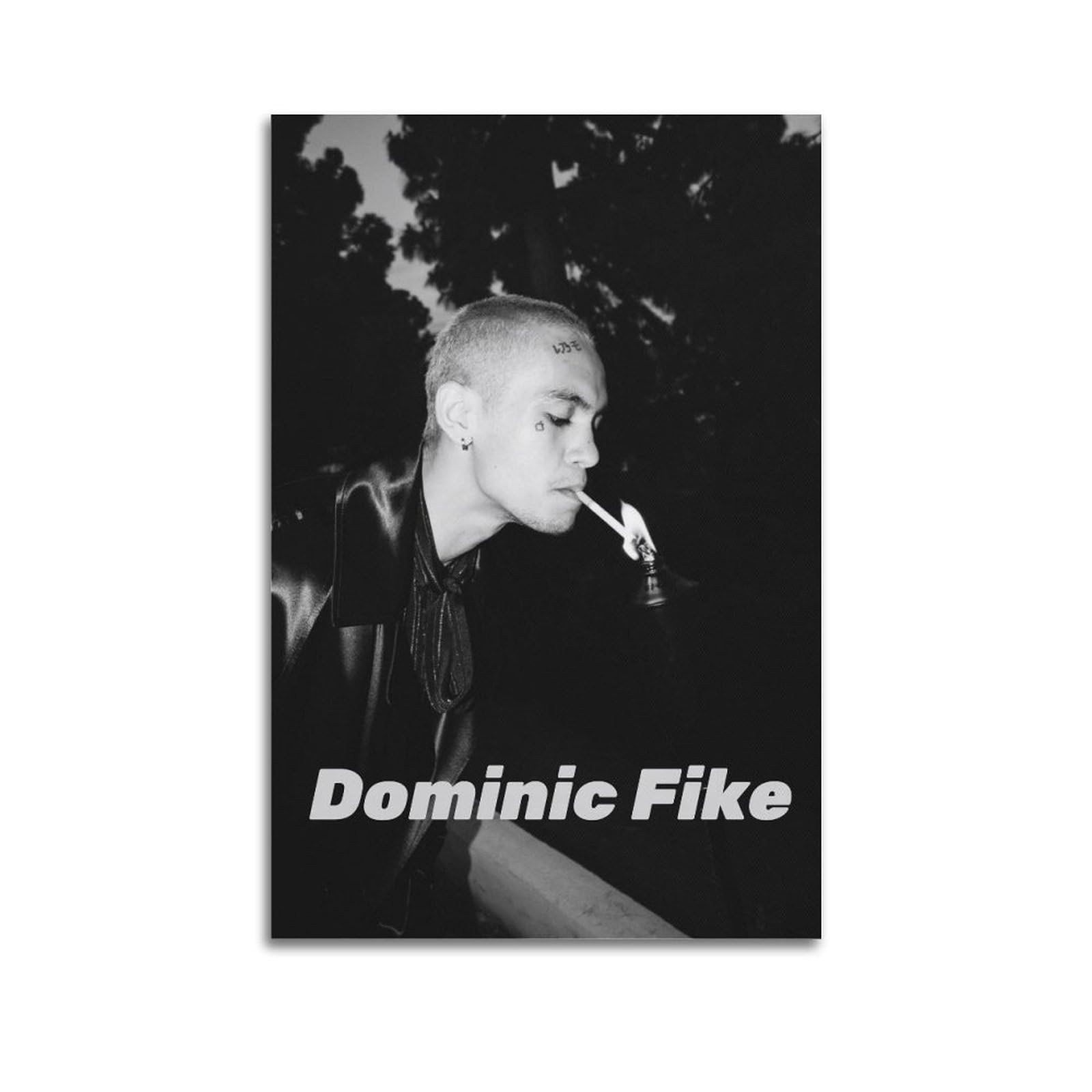 CHYCYGDH Dominic Fike Poster Music Poster Art Decor Painting Aesthetic Wall Art Canvas for Bedroom Decor 12x18inch(30x45cm) 4