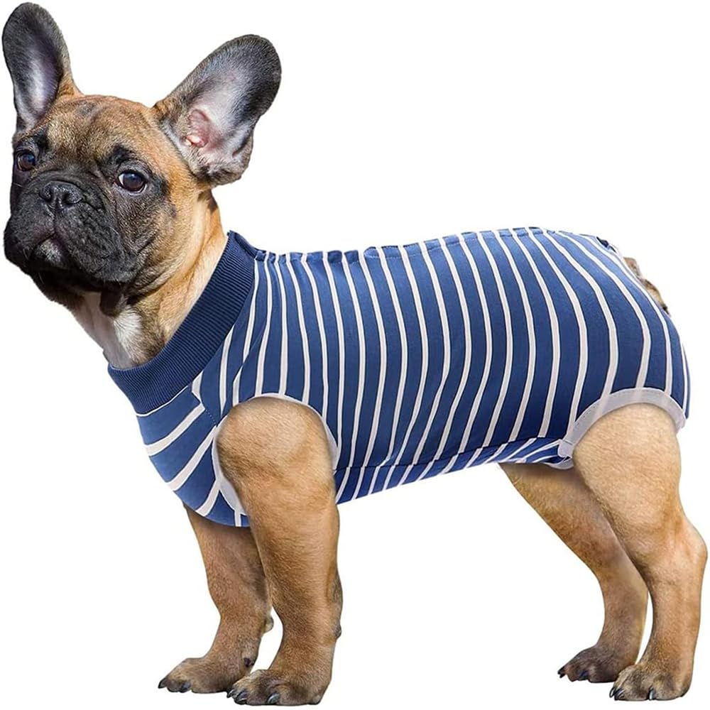 Dog Recovery Suit