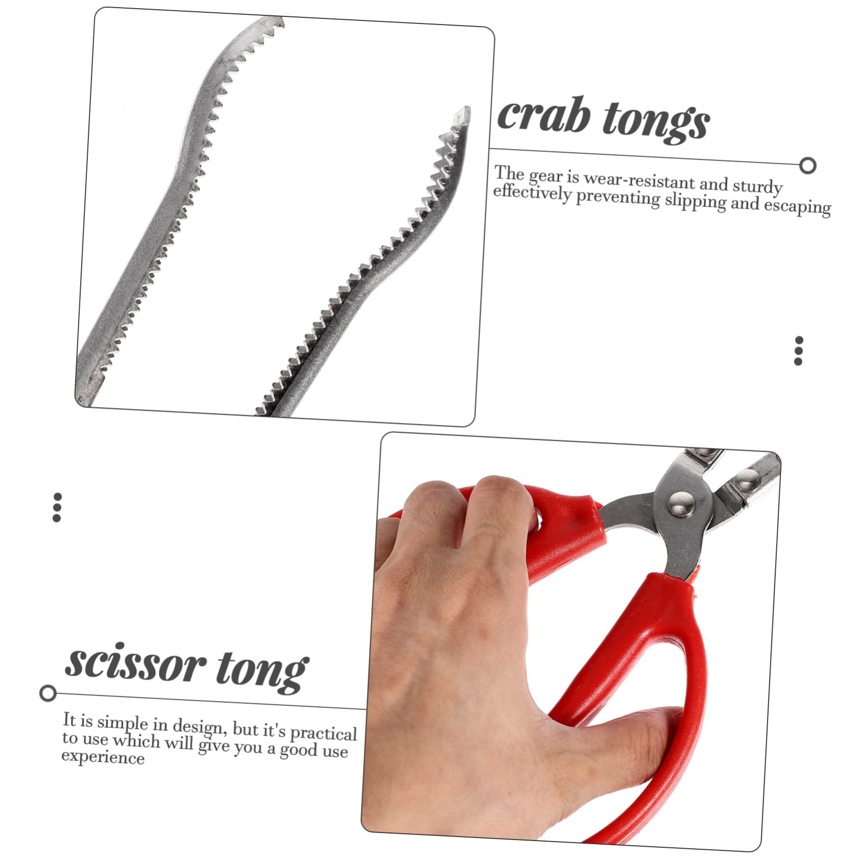 Pince à Crabe en Acier Inoxydable Multifonction Portable