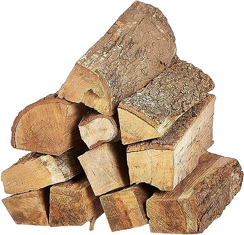 GO2CAMPS Premium BBQ Firewood 15 Ltr Capacity Bag | Seasoned Hardwood | Brich Wood for Ready to Burn | Perfect for Camping Picnic BBQ Cooking Campfires Pit Fires and Barbeque Grills -5 kg