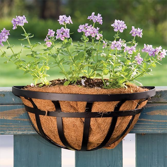 BestNest Set of 3 Panacea 88554 Flat Iron Series Wall Planters, 16" L