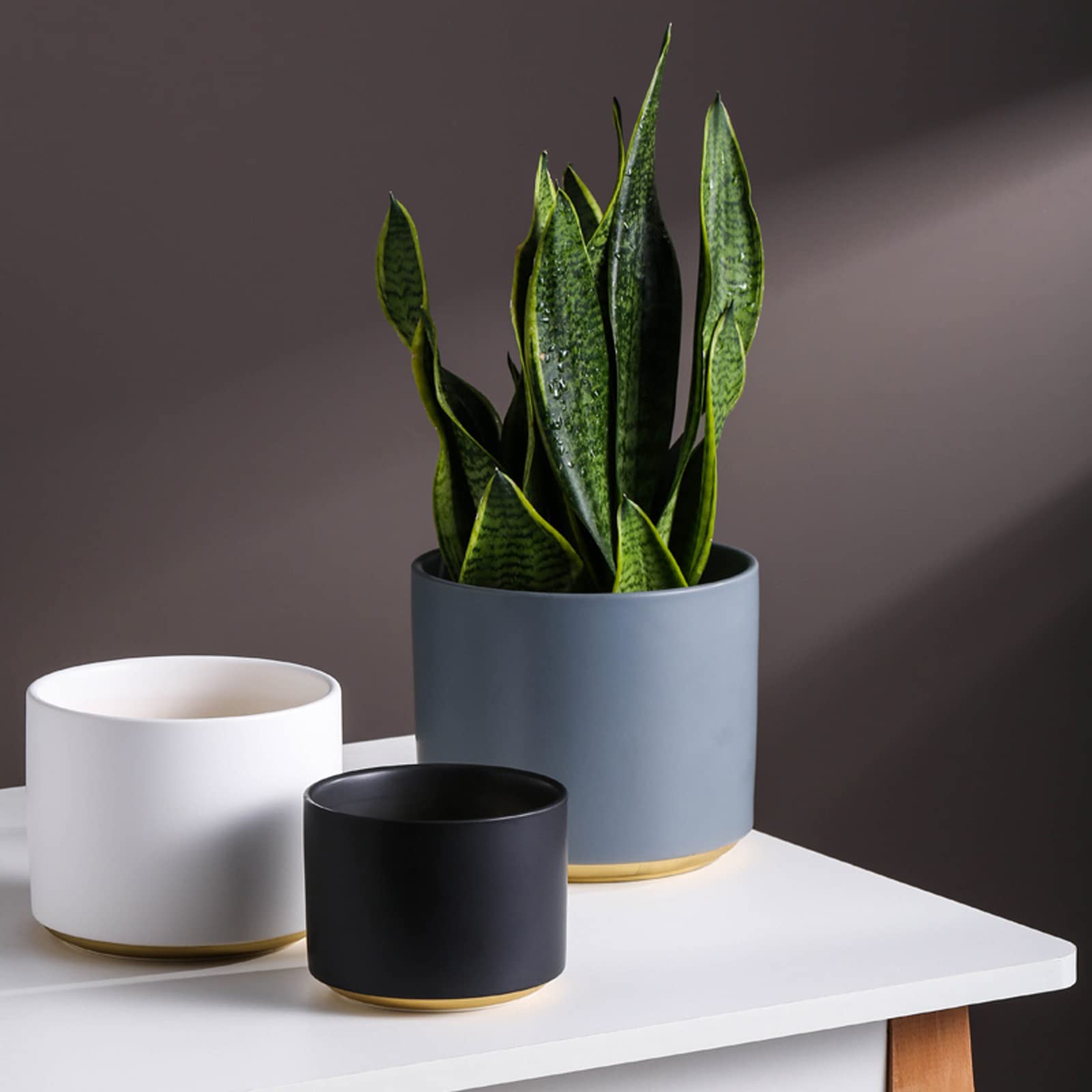 Vasi da Giardino 4.9/5.9/7 "Vaso per Piante - Cilindro Fioriere per Fiori in Ceramica Contenitori Moderni per Piante grasse con Foro di Scarico per Decorazioni per l'home Office