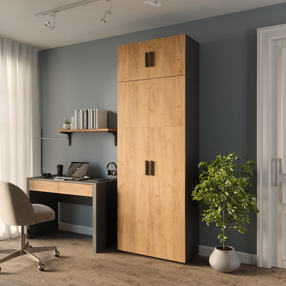 Vicco Étagère à dossiers Frank, Anthracite/chêne doré, 80x223.8cm avec Fixation d'armoire, pour Un Rangement Clair des dossiers et classeurs