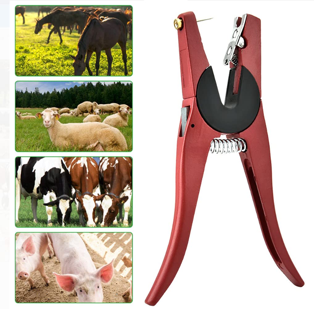Pinza Applicatrice per Marche Auricolari per Ovini – Strumento di Identificazione Animali da Allevamento per Capre, 23 cm