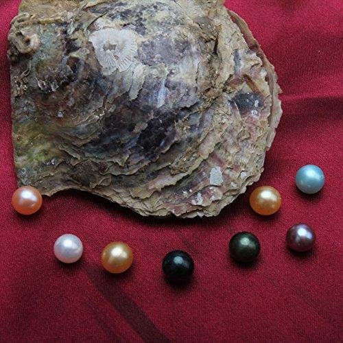10Pc Saltwater Love Wish Pearl Oysters With Round Pearl Inside 10 Color, Rainbow Pearl Beads(7-8Mm), Birthday Mothers Christmas Gift Pearl Wedding Party #TOP2