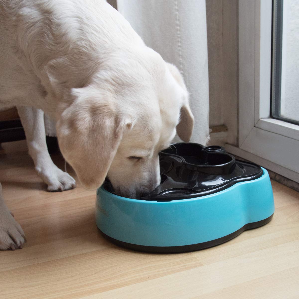 navaris automatic pet feeder