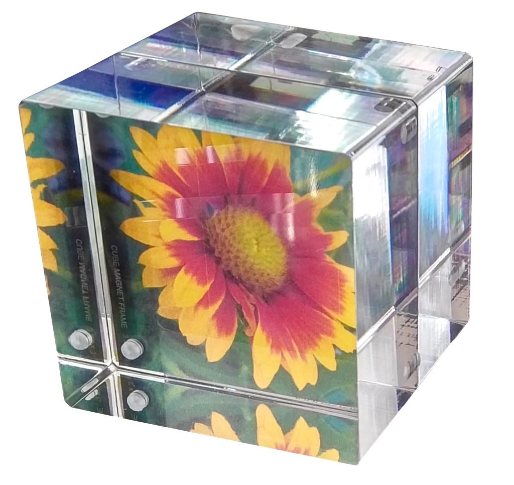 マツリカ　フォトカ　セット 61QNRkISJnL.jpg