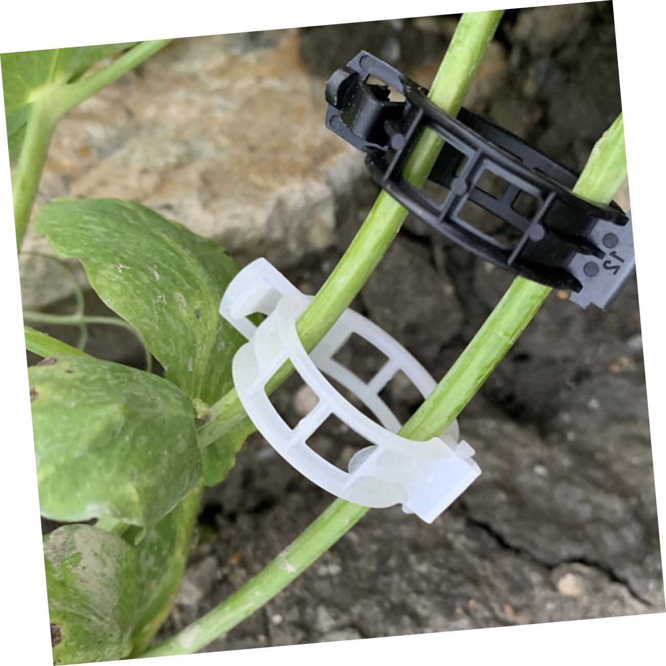POPETPOP 500pièces Clips De Fixation pour Plantes Supports De Vignes Flexible pour Tomates Légumes Grimpants Et Fleurs Accessoires De Jardinage Pratiques Et Réutilisables