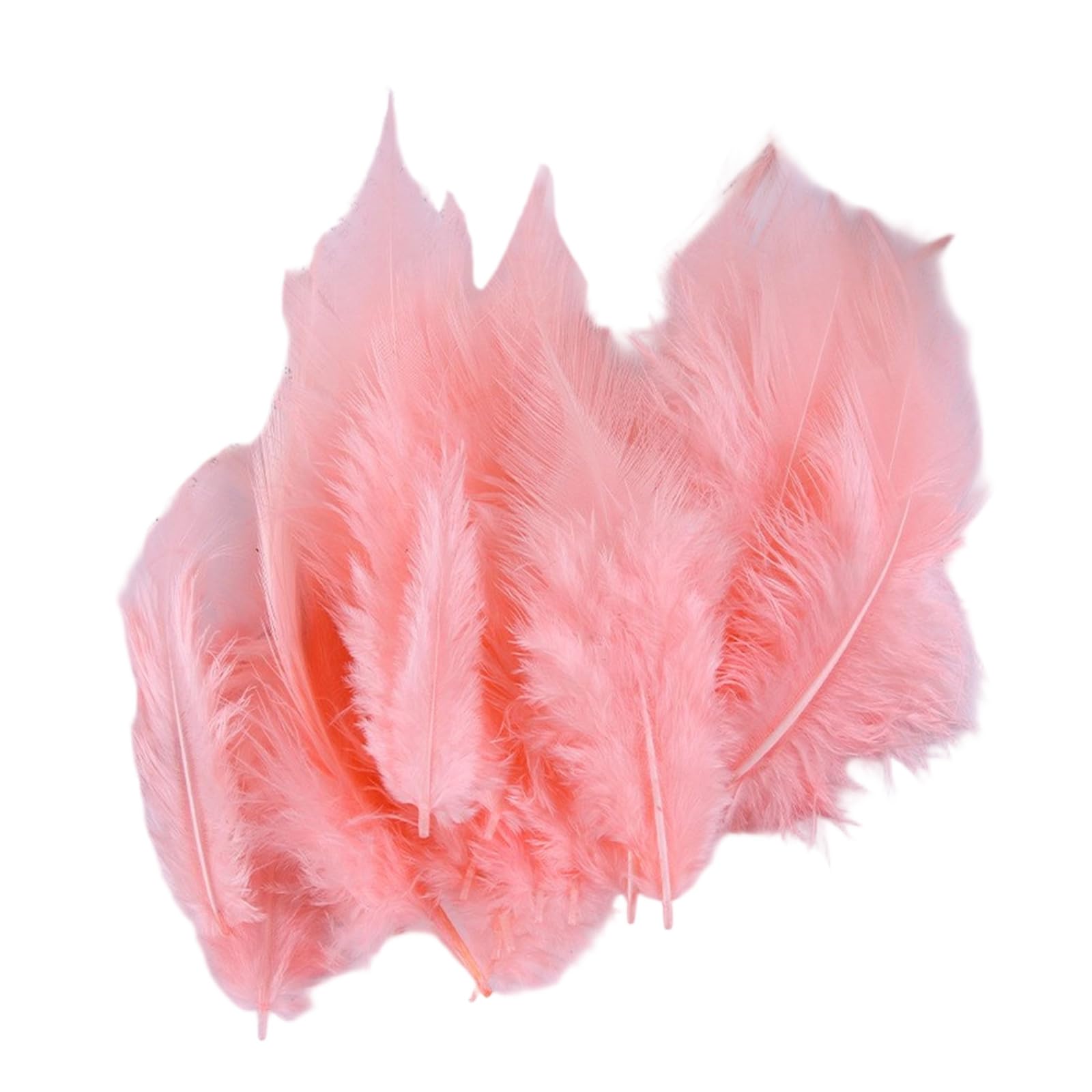 Shurhome 100PCS Rainbow Plumage for Creation Beautiful Accent for Costumes Bags and Special Occasions Quills for Crafting