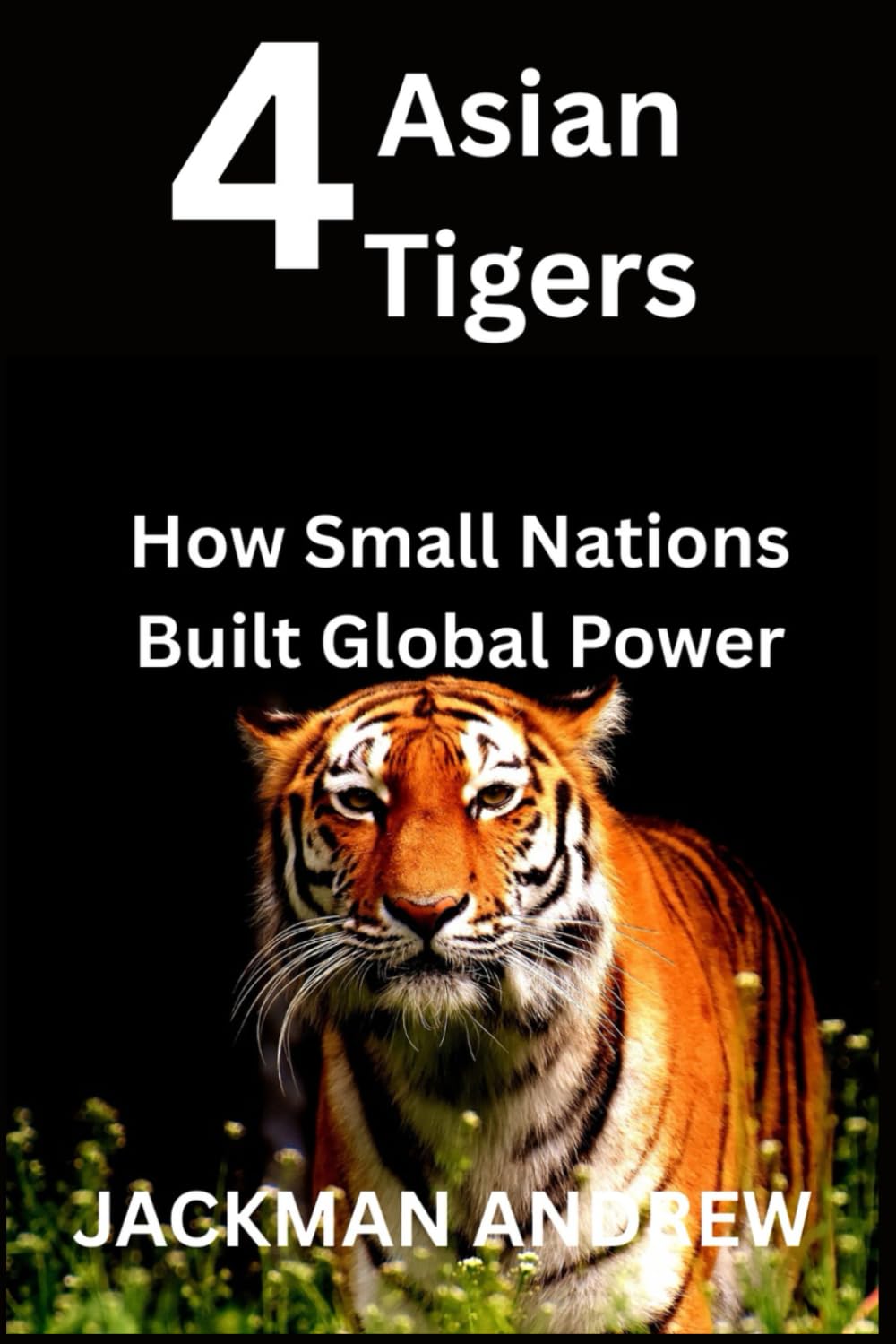 4 Asian Tigers: how small nations built global power