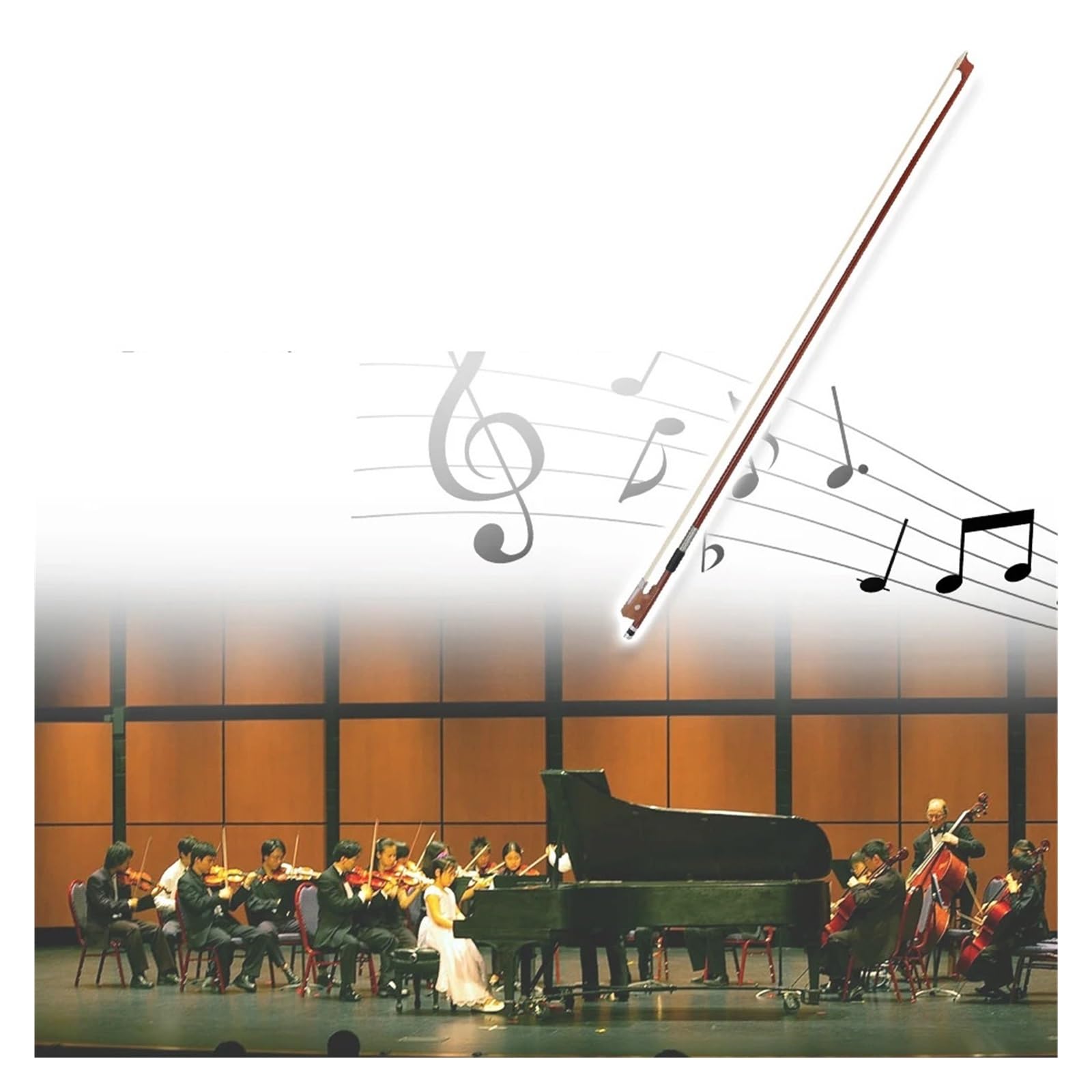 Accessori for parti di arco for violino in palissandro for arco da violino 4/4