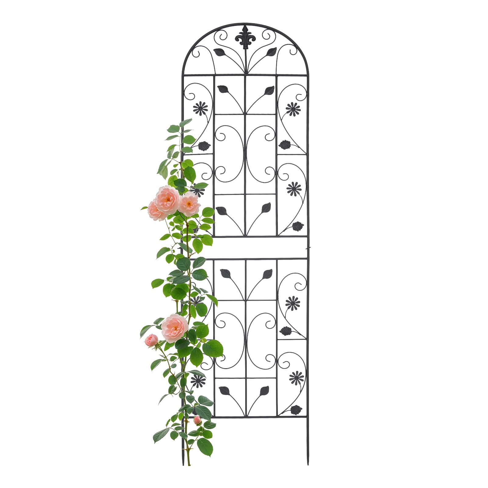2 Stück Rankgitter Eisen 180 cm Hoch, Spike Länge 20 cm, Rankhilfe für Kletterpflanzen, Gewölbte Form, für Innenhöfe, Balkone, Terrassen, Gärten, Kletterhilfe Pflanzen, Schwarz