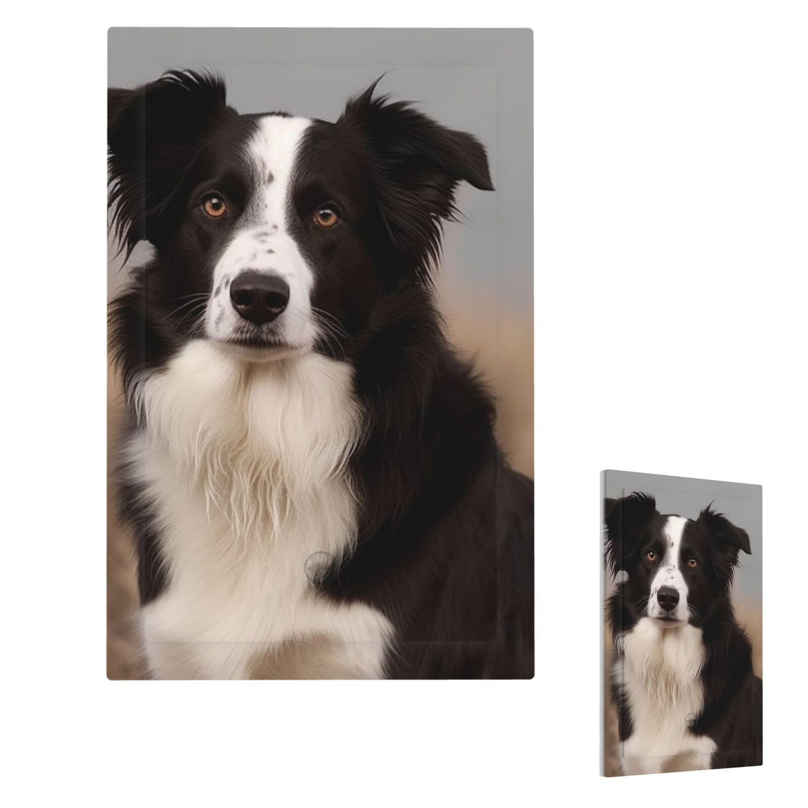 Border Collie Wall Plate Cover Single Blank, Modern Decorative Light Switch Cover Unbreakable Receptacle Outlet Covers for Living Room Bedroom Decor