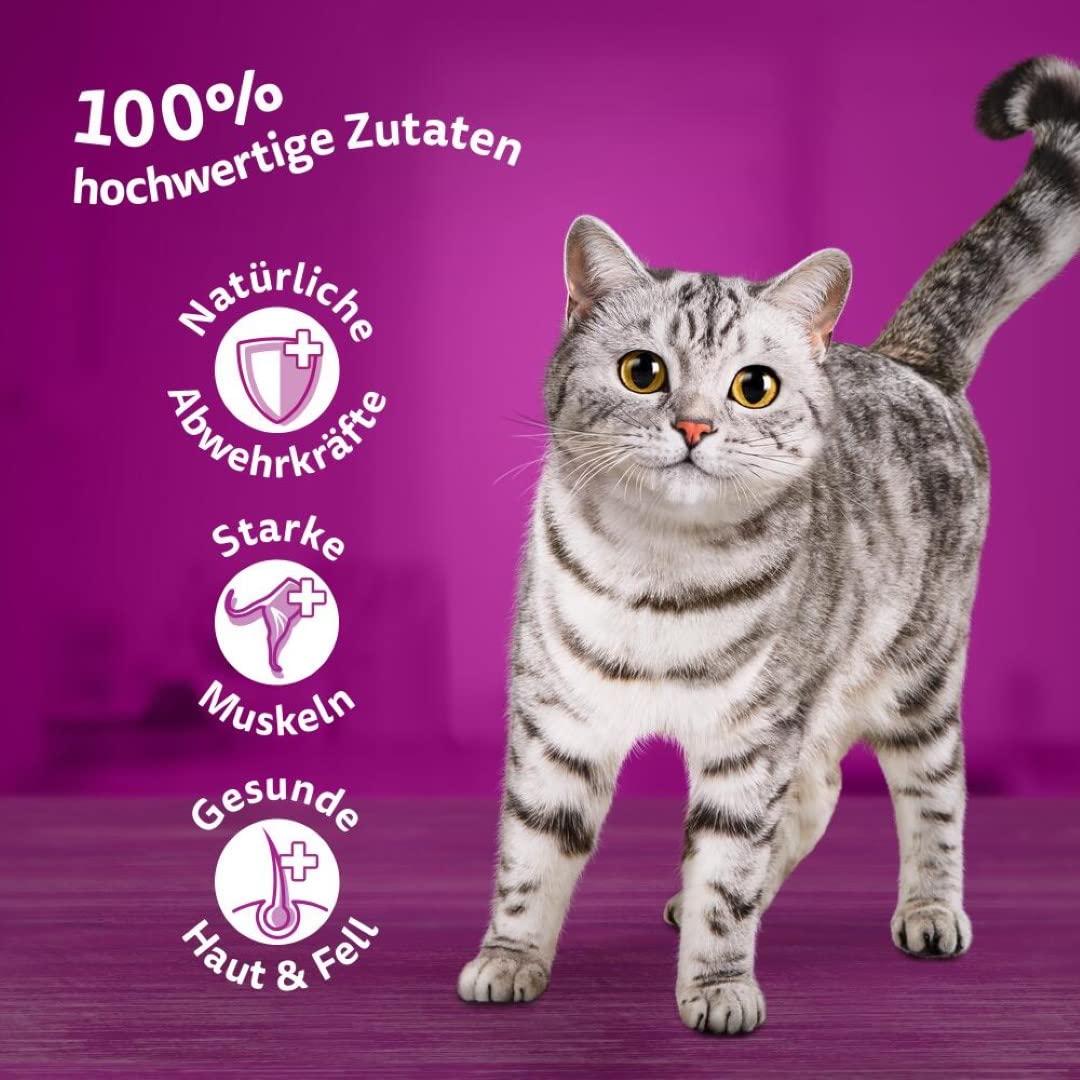 Whiskas 1 + Comida para Gatos de Aves de Corral en gelatina, 12 x 85 g (4 Paquetes) – Comida húmeda Gatos Adultos en 48 Bolsas de porciones