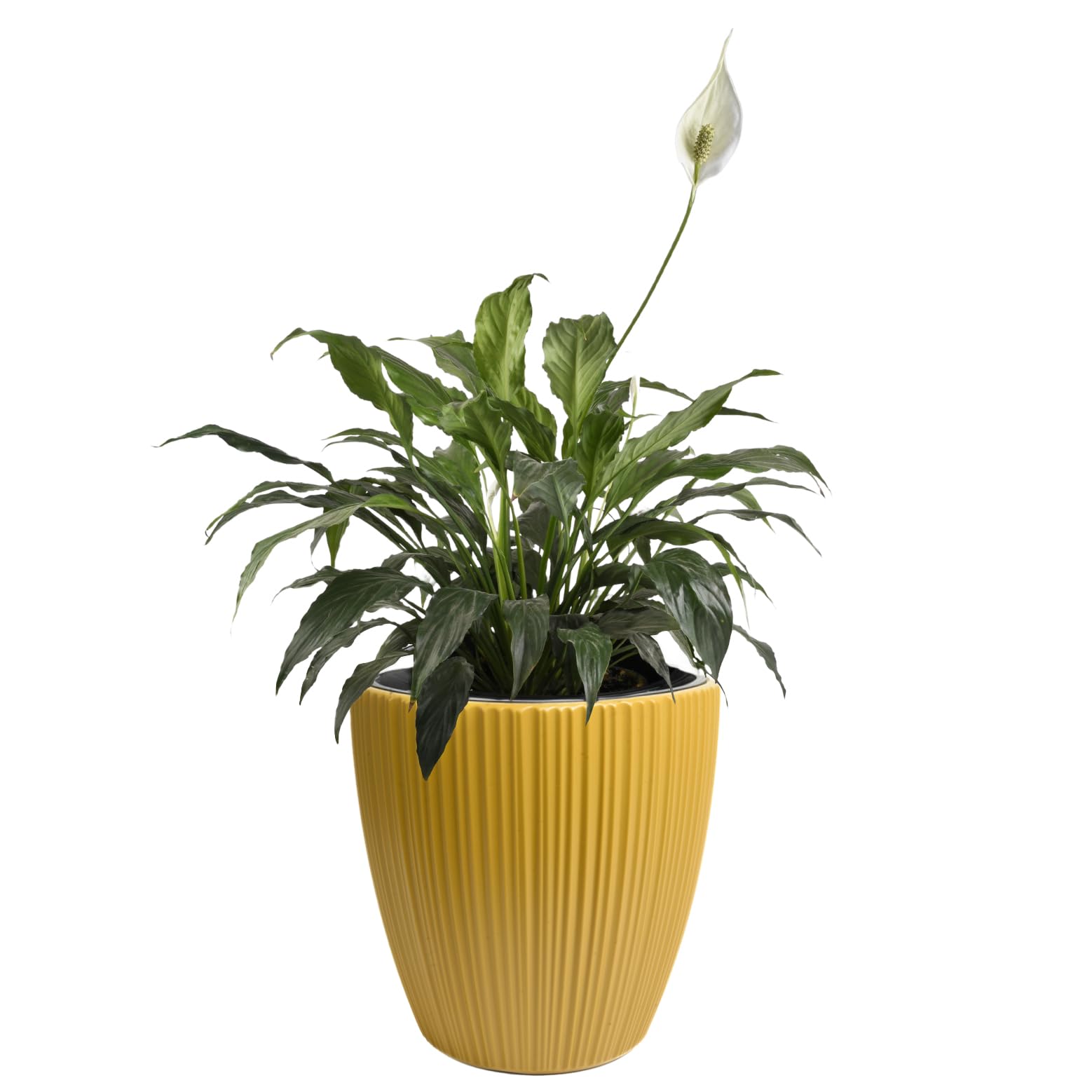 B2C Flowerpot Ridged Planter with removable insert Indoor Outdoor Modern Vertical grooves textured for home office patio garden decoration (Mustard, W35cm x H35cm)