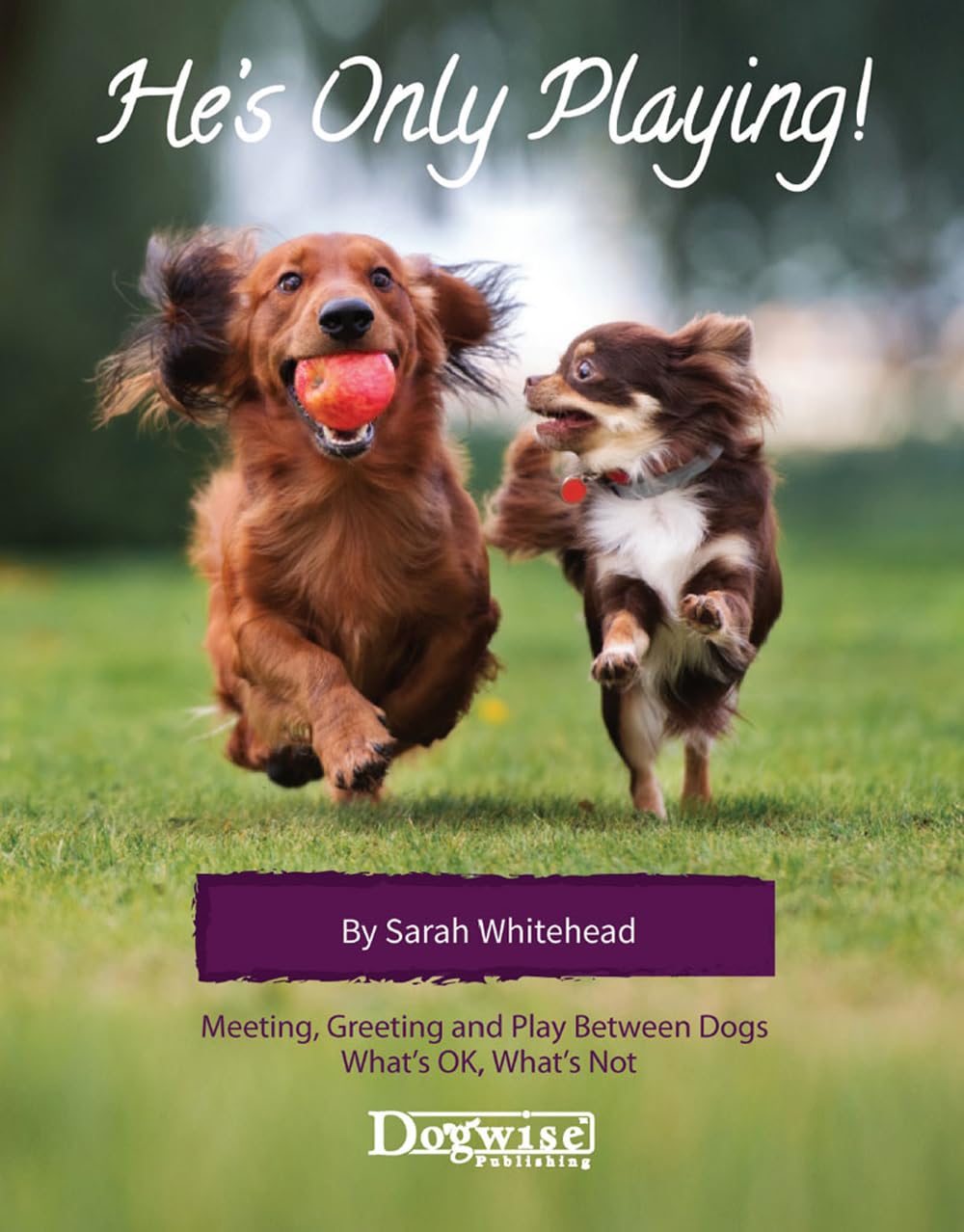Buy He's Only Playing!: Meeting, Greeting and Play Between Dogs - What's Ok, What's Not — BookShops.in