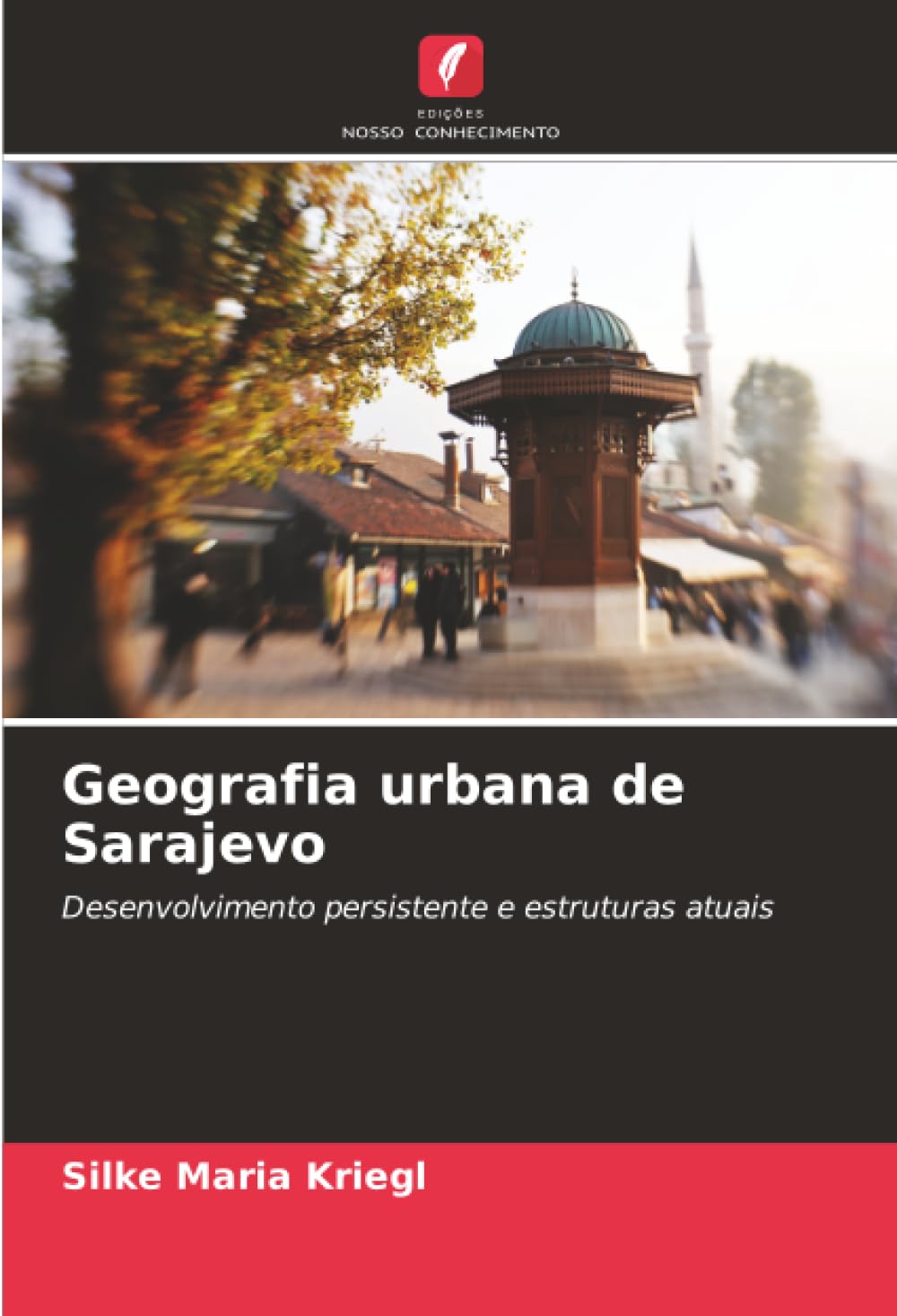 Geografia urbana de Sarajevo: Desenvolvimento persistente e estruturas atuais